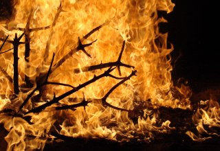 &copy; Weihnachtsbaum verbrennen