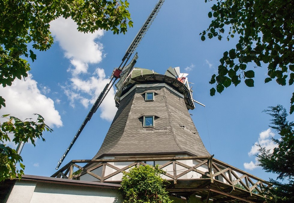Widok na idylliczny wiatrak Neu Thulendorf, © Frank Burger