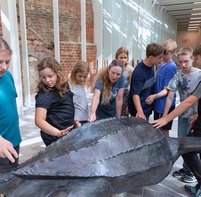 © Anke Neumeister/Deutsches Meeresmuseum