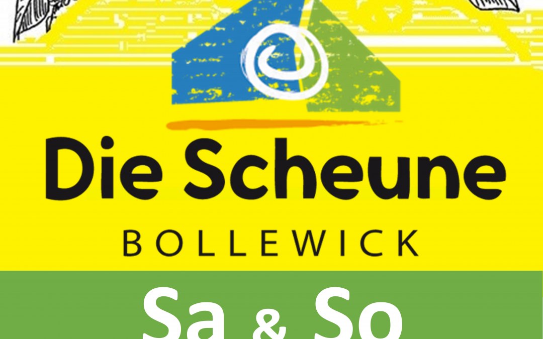 Vlooienmarkt in de markthal, © Die Scheune Bollewick