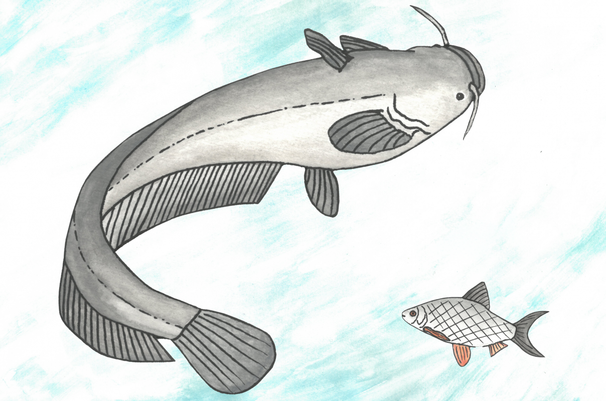 &copy; M&uuml;ritzeum