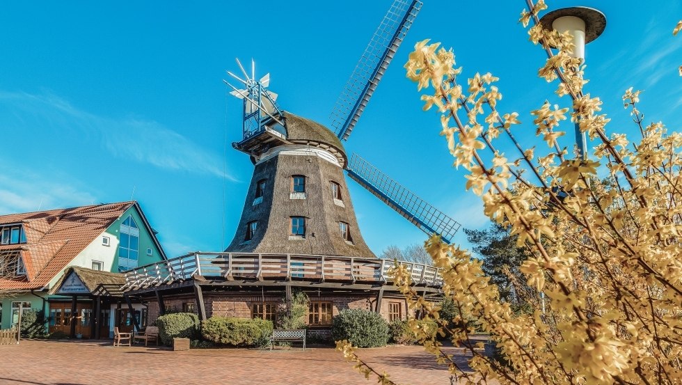 Buitenaanzicht van Landhotel Lewitz-Mühle, © Landhotel Lewitz-Mühle Buitenaanzicht van Landhotel Lewitz-Mühle, © Landhotel Lewitz-Mühle