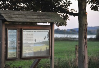 Info-Tafel am Nonnensee bei Bergen auf Rügen // © Tourismuszentrale Rügen Info-Tafel am Nonnensee bei Bergen auf Rügen // © Tourismuszentrale Rügen