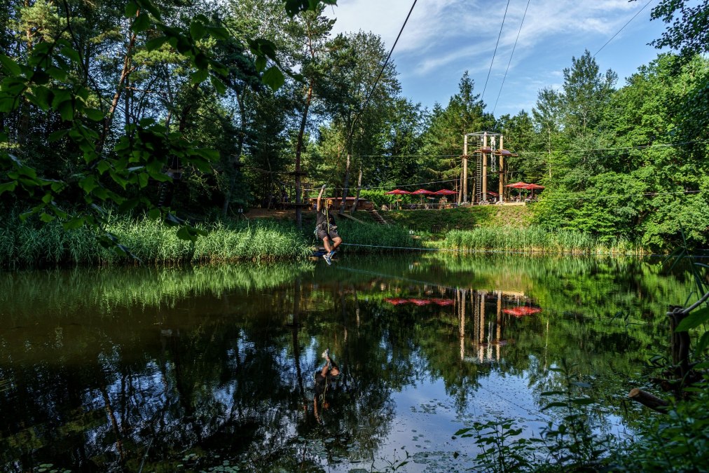 Las wspinaczkowy Schwaan, © Tom Haagen Las wspinaczkowy Schwaan, © Tom Haagen