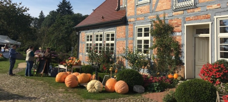 Pumpkins everywhere at the pumpkin festival in Alt Guthendorf // © Martin Hagemann Pumpkins everywhere at the pumpkin festival in Alt Guthendorf // © Martin Hagemann