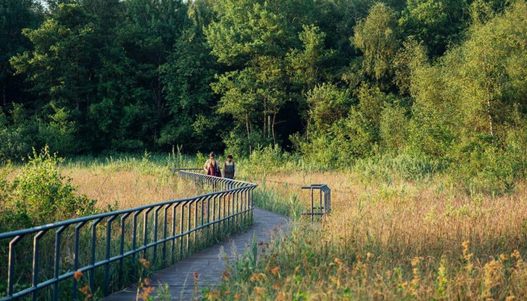 Het Natuurparkpad loopt over een afstand van meer dan 800 kilometer door zeven natuurparken en een nationaal park in Mecklenburg-Vorpommern., © TMV/Gänsicke