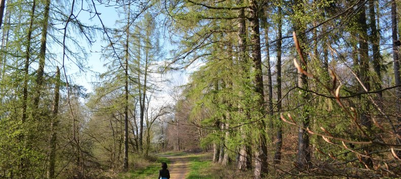 © BluBonRelaXon@Pixabay © BluBonRelaXon@Pixabay