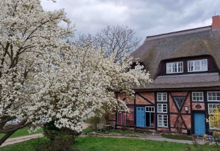 Kessin vicarage // &copy; Martin Goffing