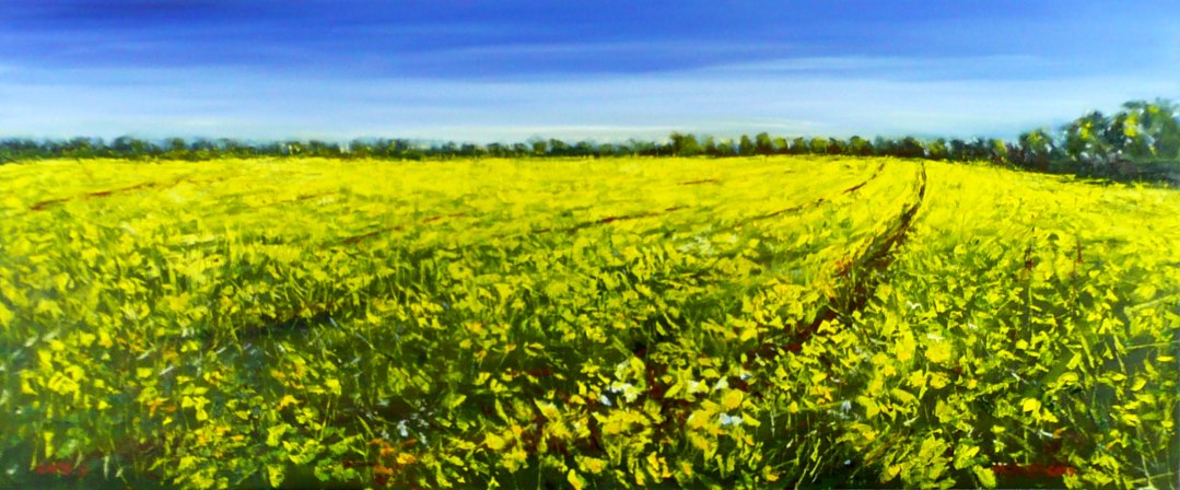 Rapeseed, © Matthias Heinz