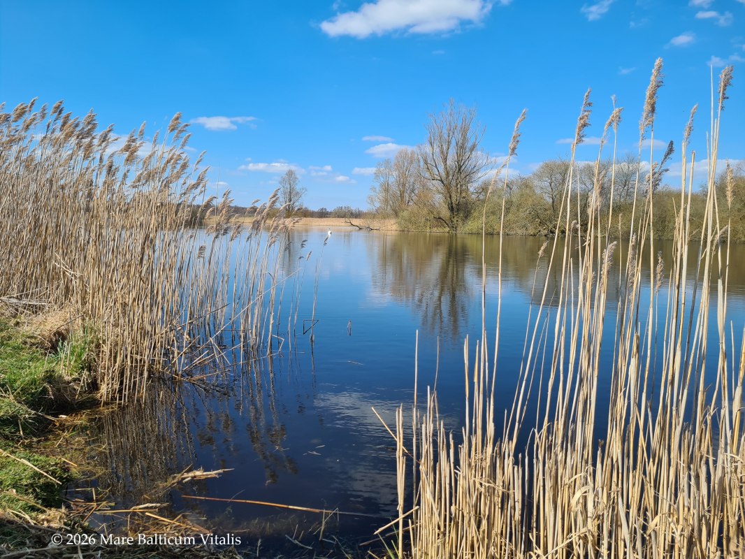 Voeding & Gezondheid Wandeling - De wandeling met toegevoegde waarde // &copy; Mare Balticum Vitalis, Inh. Janine Hahn