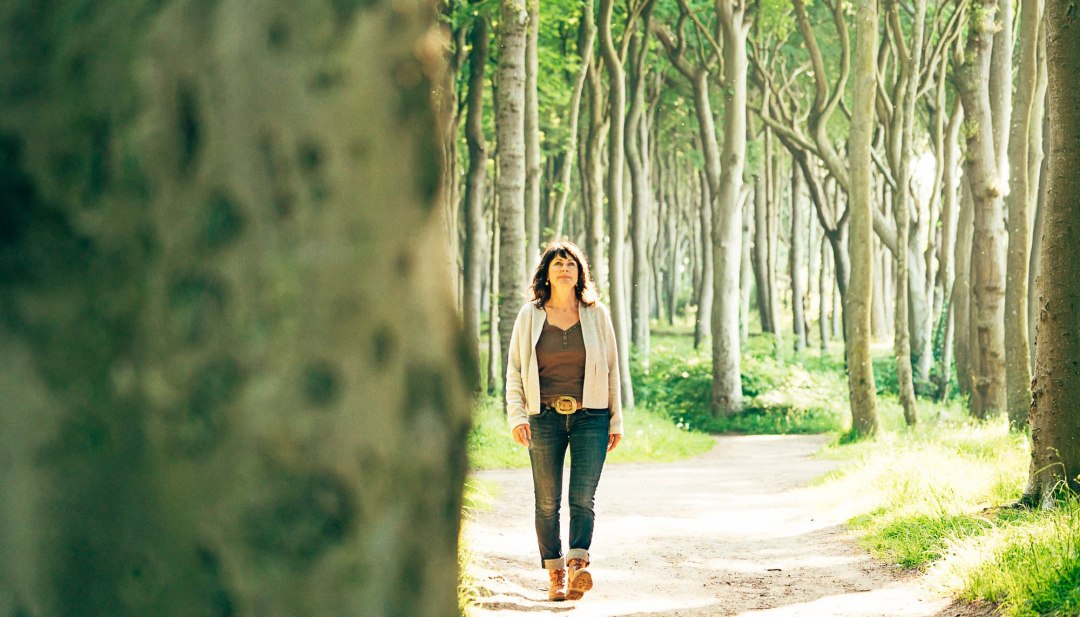 A walk through the forest of ghosts makes the stress of everyday life fall away, © TMV/H2F