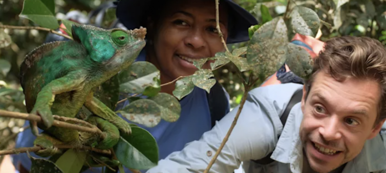 &copy; Basiskulturfabrik GmbH