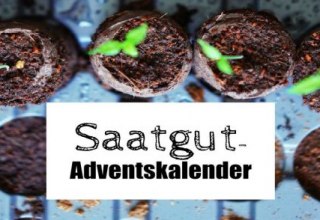 © Umweltprojekte Nord e.V. © Umweltprojekte Nord e.V.