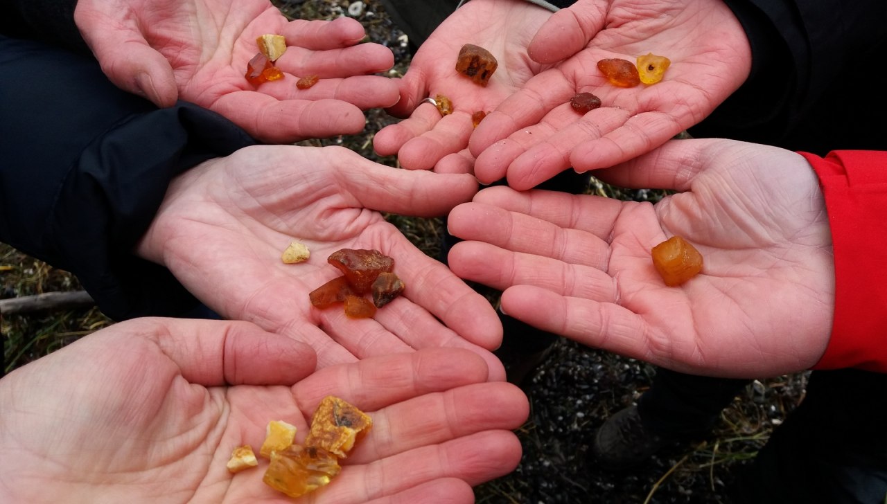 Common finds in good conditions // © Martin Hagemann Common finds in good conditions // © Martin Hagemann