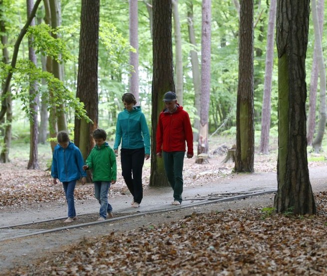 Ohne Schuhe geht's auf dem Barfußpfad über verschiedene Naturmaterialien wie Holz, Steine und Tannenzapfen. // © MV-T/outdoor-visions.com Ohne Schuhe geht's auf dem Barfußpfad über verschiedene Naturmaterialien wie Holz, Steine und Tannenzapfen. // © MV-T/outdoor-visions.com