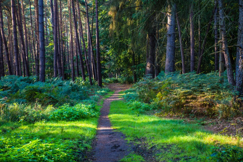 © insel-fotograf.eu, Andreas Dumke