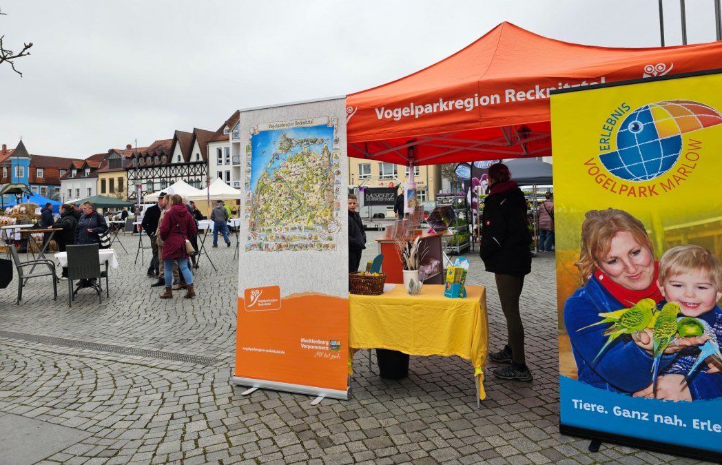 regionalmarkt-vogelparkregion-recknitztal-04, &copy; Sabine Maus