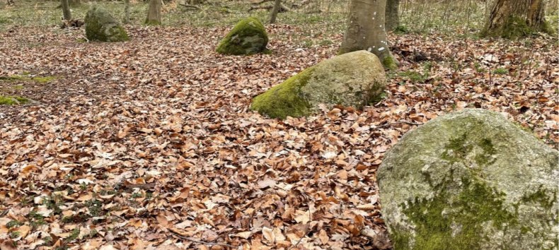 You Saale apostle stones // © Südliche Boddenküste You Saale apostle stones // © Südliche Boddenküste