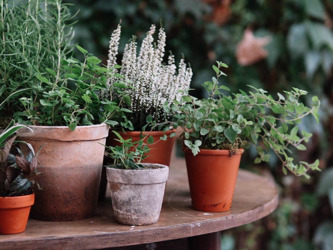 © AdobeStock © AdobeStock