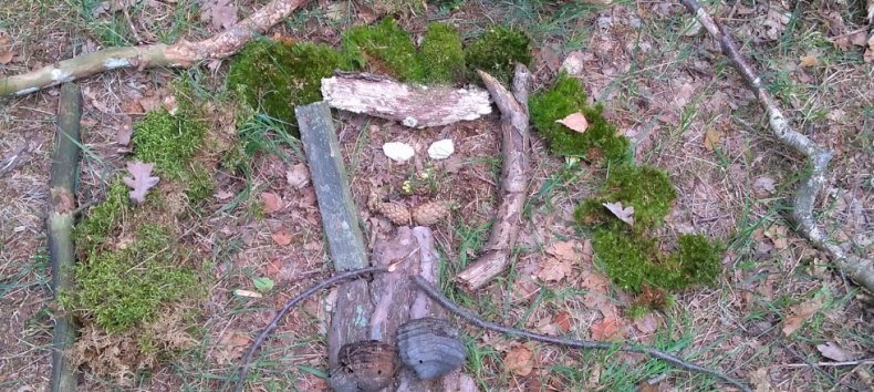 Creative forest painting // © Sabine Görmar Creative forest painting // © Sabine Görmar