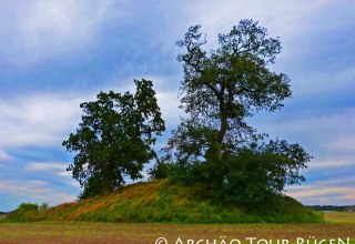Blick auf das mit knorrigen Eichen bewachsene Hügelgrab "Himmel" // © Archäo Tour Rügen Blick auf das mit knorrigen Eichen bewachsene Hügelgrab "Himmel" // © Archäo Tour Rügen