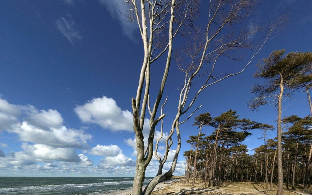 West-strand, © TV FDZ