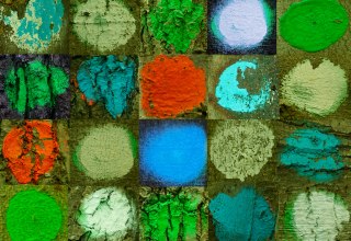 Fotomontage - 10x13,3 - GR&Uuml;N // &copy; Sigrid Henschel