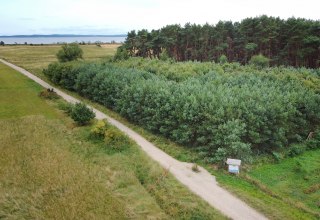 © Landesforst MV © Landesforst MV