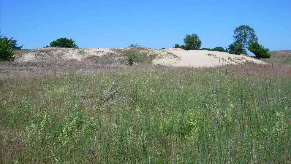 Duinen bij Altwarp in het district Vorpommern, © Wanderagentur HARIDO