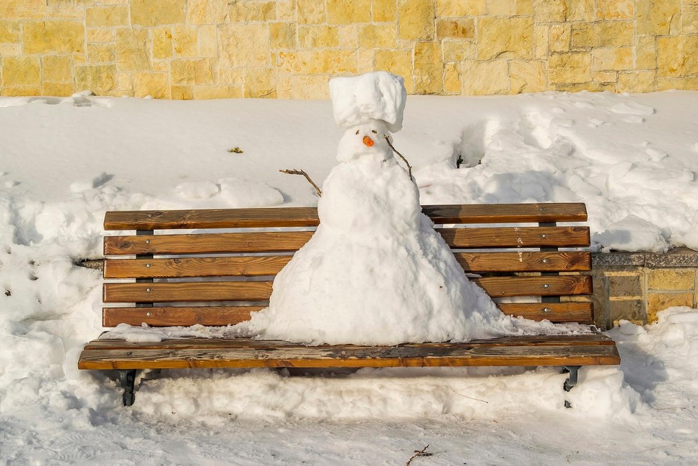 Humorystyczne historie na ławce w parku, © Angelica Vaihel_Pixaby Humorystyczne historie na ławce w parku, © Angelica Vaihel_Pixaby