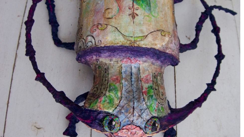 Rose chafer, &copy; Juliane Held