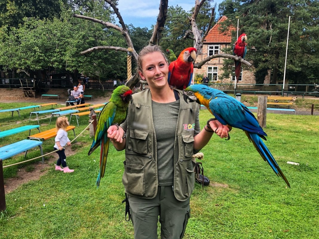 Flugshow, © Zoo Stralsund Flugshow, © Zoo Stralsund