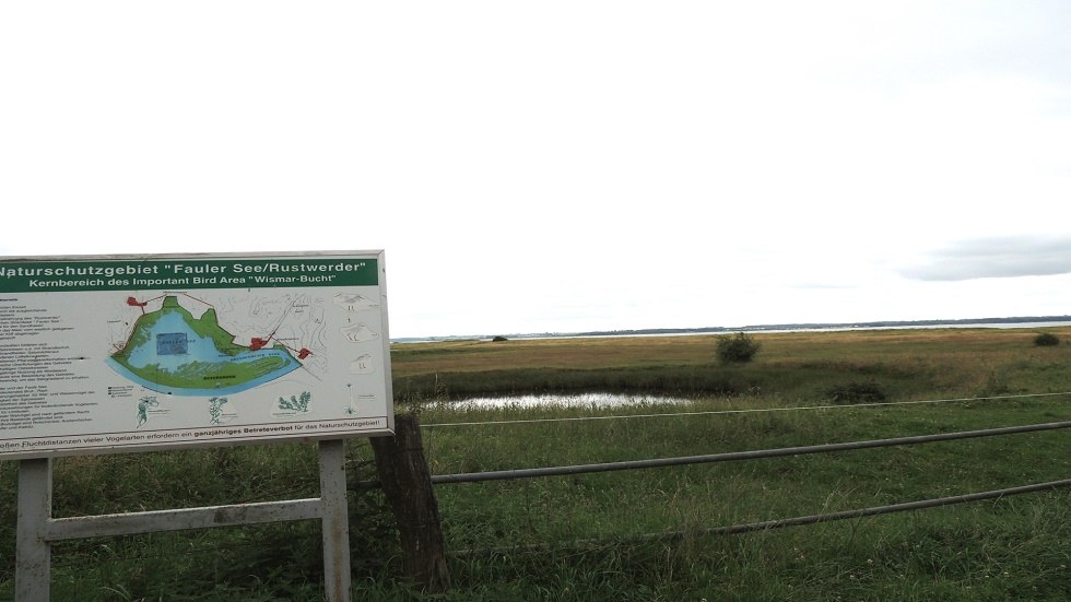 Information board in the nature reserve "Lazy Lake // © Kurverwaltung Insel Poel Information board in the nature reserve "Lazy Lake // © Kurverwaltung Insel Poel