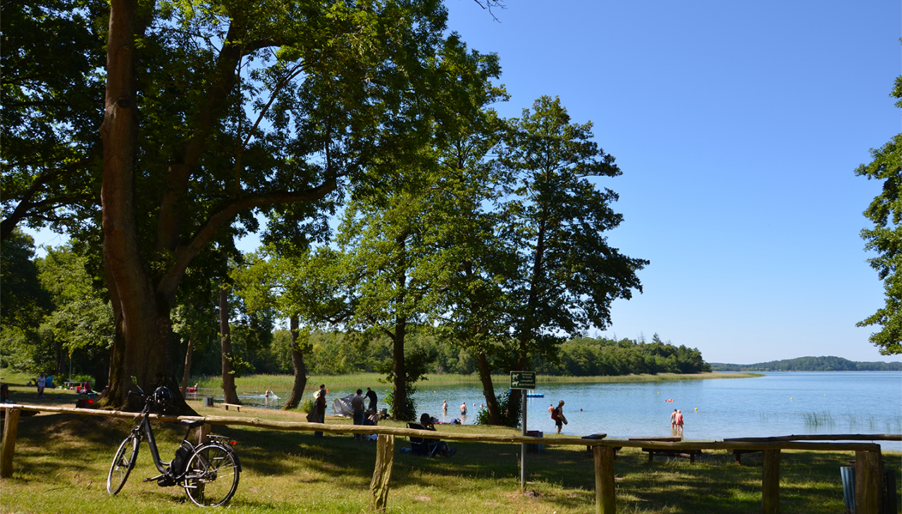 3_BROITER LUZIN - PLAŻA LICHTENBERG, &copy; Martin M&ouml;ller