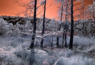 © Art Photo Verlag Klaus Ender