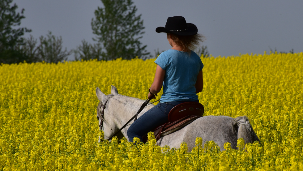 Verken de kastelen, landgoederen en landhuizen te paard, © Hof Peeneland