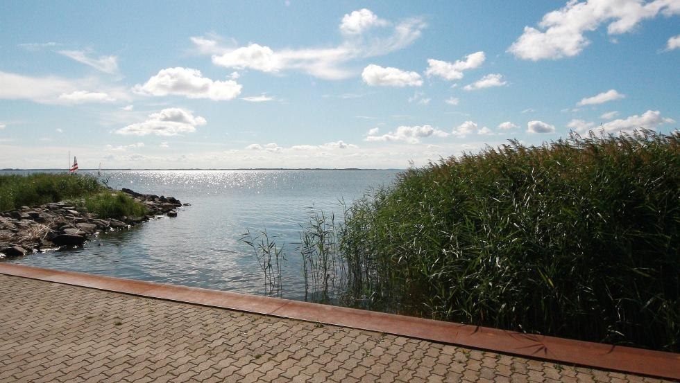 Backwater, © surflocal.de Backwater, © surflocal.de