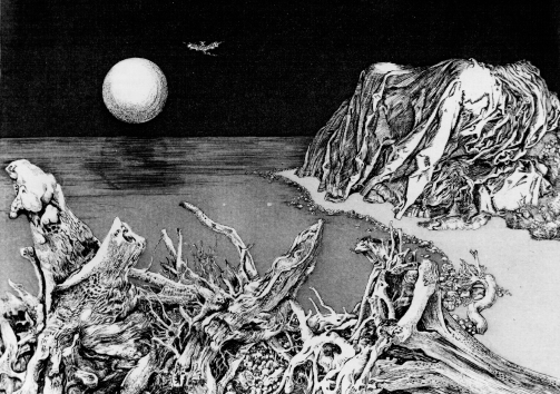 &copy; Kunstmuseum Ahrenshoop