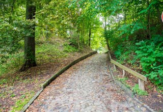 Der Weg zum Burgwall hinauf f&uuml;hrt zum Friedhof. // &copy; Frank Burger