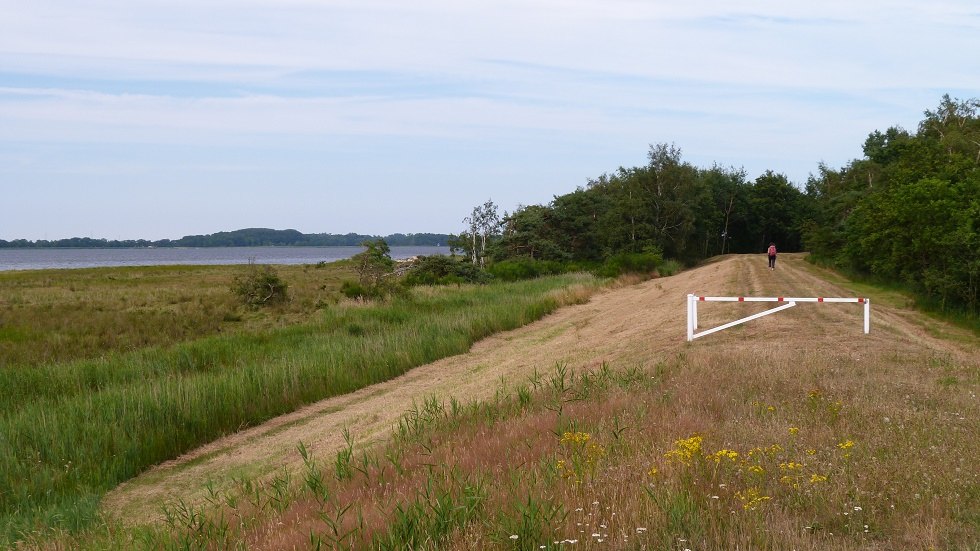 Tijdens je wandeling op de dijk van Ummanz heb je altijd het eiland Hiddensee in zicht // © Ummanz-Information/Bordych Tijdens je wandeling op de dijk van Ummanz heb je altijd het eiland Hiddensee in zicht // © Ummanz-Information/Bordych