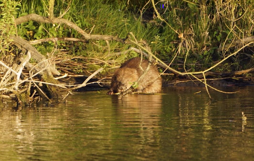 Bever, © SeenLandAgentour GmbH