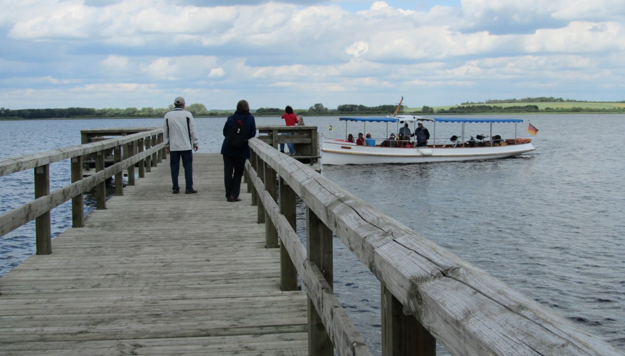 IMG_2163, © Jana Koch IMG_2163, © Jana Koch