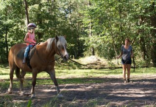 Lunge lesson for children, &copy; Hof Jaddatz