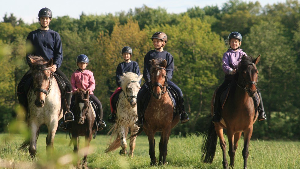 Riding out and having fun with the horses at Little Uncle farm // &copy; Hof Little Uncle/ Angela Finkl-Hartmann