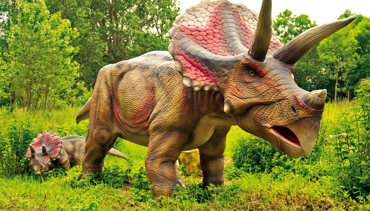 Triceratops, © Marcel Kunkel