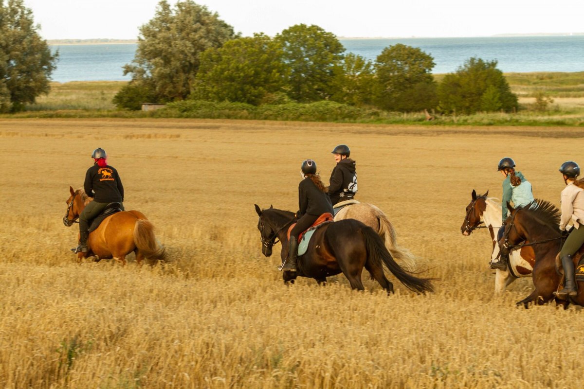 2023-08-13 09-44-08, &copy; bernsteinreiter