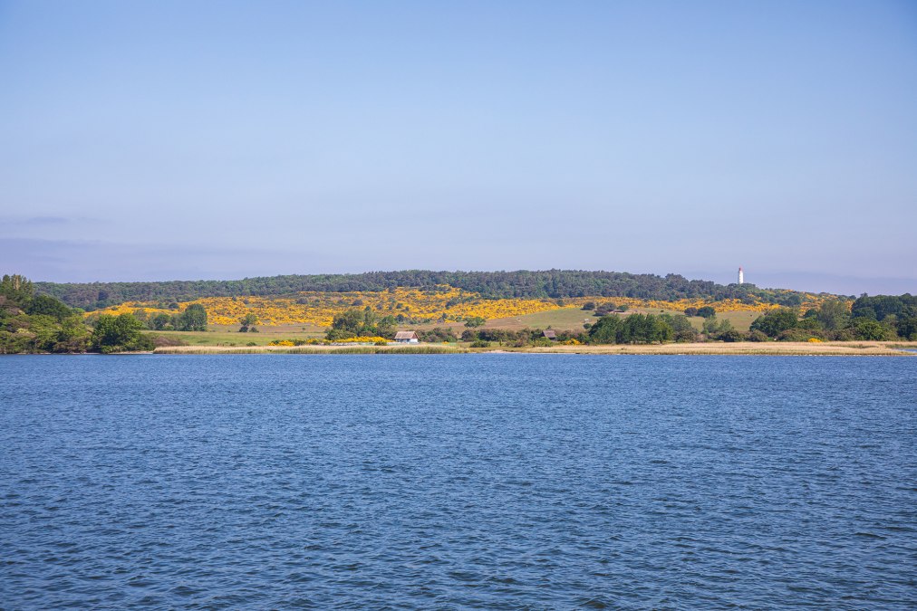 Reederei-Hiddensee-Insel-Hiddensee-002-1, © Weiße Flotte