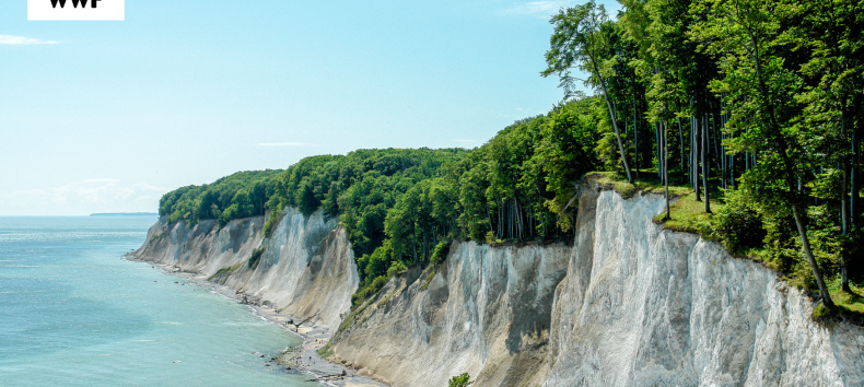 © Nationalpark-Zentrum Königsstuhl © Nationalpark-Zentrum Königsstuhl