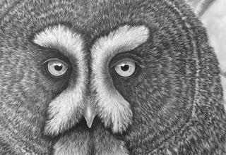 Potloodtekening door Ralf Wilhelm Schmidt // &copy; Ralf Wilhelm Schmidt/M&uuml;ritzeum