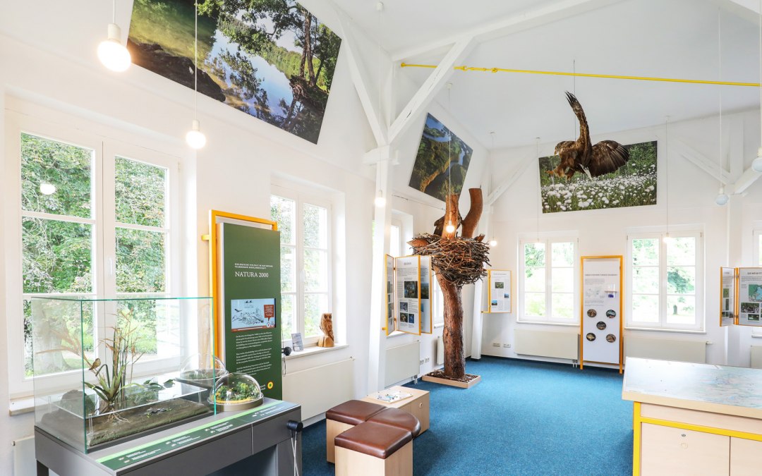 Tentoonstelling over het Natuurpark merengebied Feldberg in het Haus des Gastes_3, © TMV/Gohlke